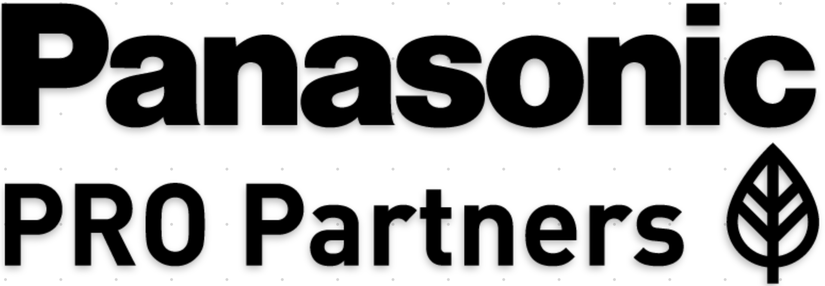 Panasonic Pro Partner
